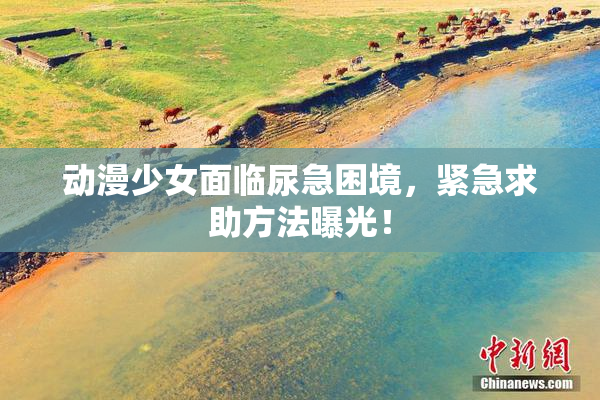 动漫少女面临尿急困境，紧急求助方法曝光！