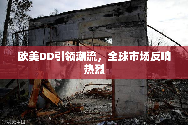 欧美DD引领潮流，全球市场反响热烈