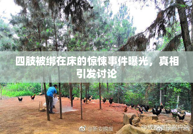 四肢被绑在床的惊悚事件曝光，真相引发讨论