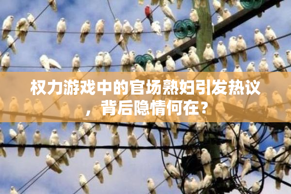 权力游戏中的官场熟妇引发热议，背后隐情何在？