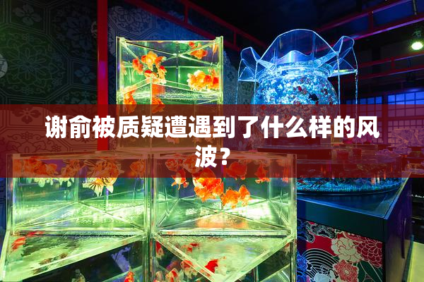 谢俞被质疑遭遇到了什么样的风波？