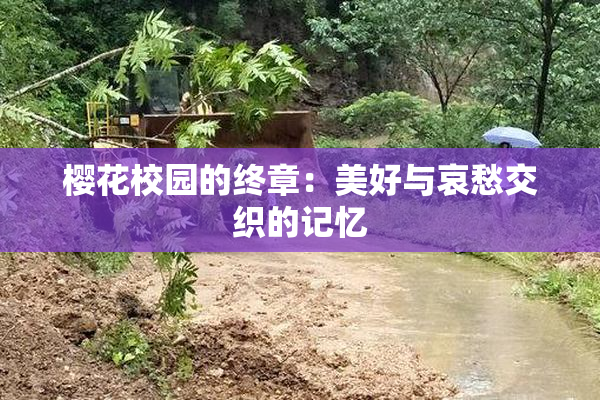 樱花校园的终章：美好与哀愁交织的记忆