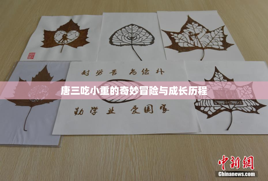 唐三吃小重的奇妙冒险与成长历程
