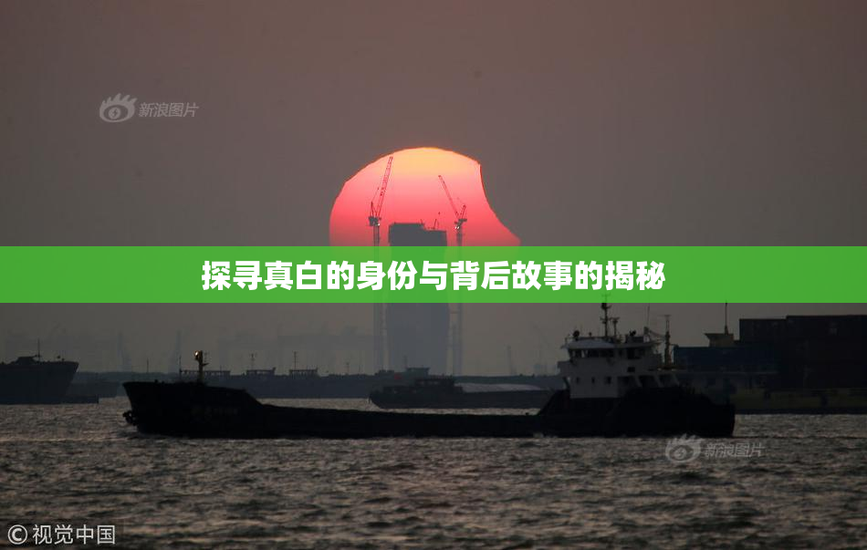 探寻真白的身份与背后故事的揭秘