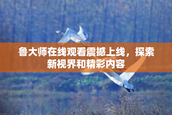 鲁大师在线观看震撼上线，探索新视界和精彩内容