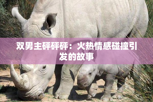 双男主砰砰砰：火热情感碰撞引发的故事