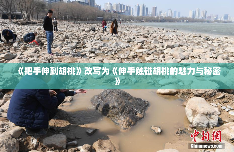 《把手伸到胡桃》改写为《伸手触碰胡桃的魅力与秘密》