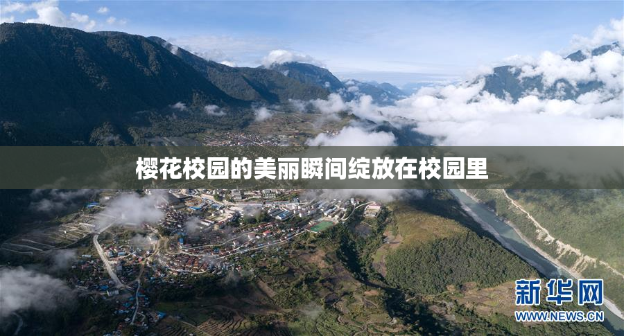 樱花校园的美丽瞬间绽放在校园里