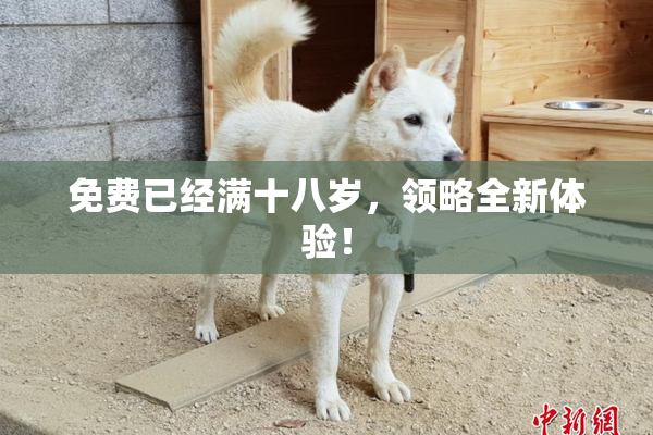 免费已经满十八岁，领略全新体验！