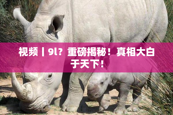 视频丨9l？重磅揭秘！真相大白于天下！