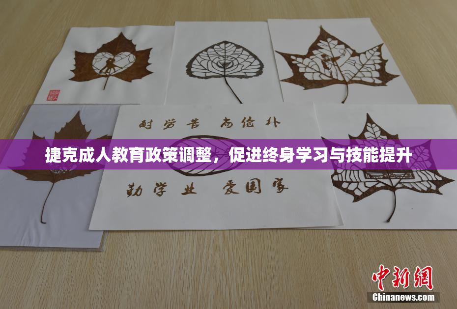 捷克成人教育政策调整，促进终身学习与技能提升