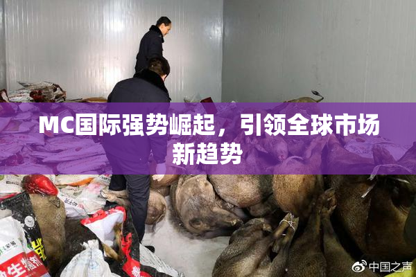 MC国际强势崛起，引领全球市场新趋势