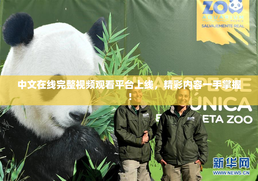 中文在线完整视频观看平台上线，精彩内容一手掌握！