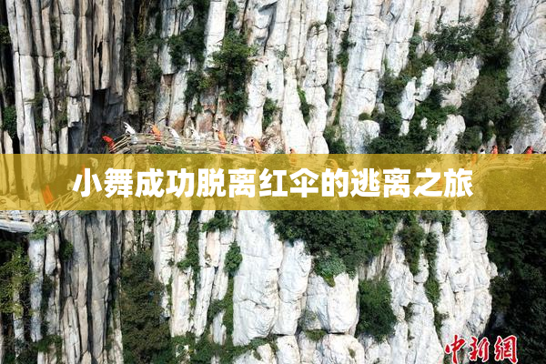 小舞成功脱离红伞的逃离之旅