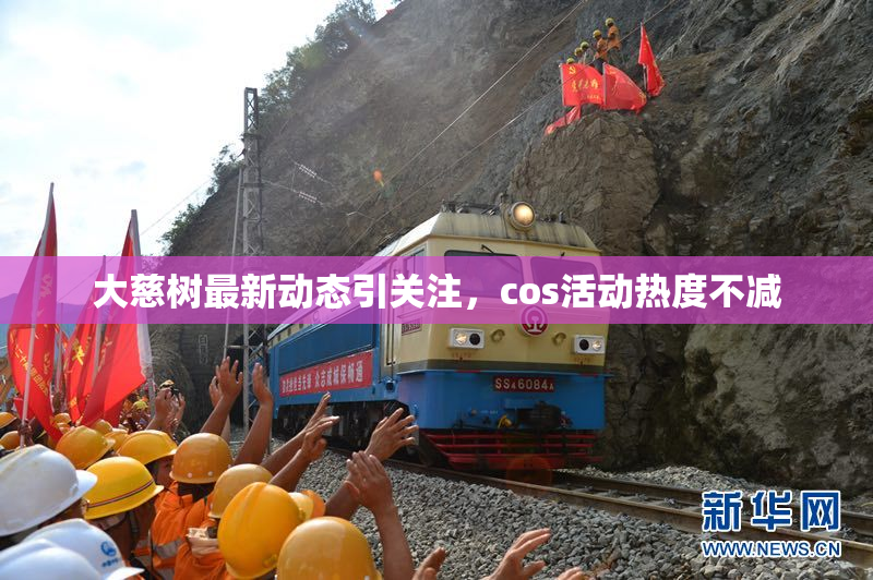 大慈树最新动态引关注，cos活动热度不减