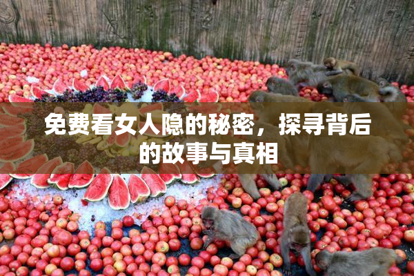 免费看女人隐的秘密，探寻背后的故事与真相