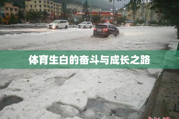 体育生白的奋斗与成长之路