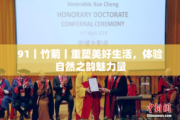 91丨竹菊丨重塑美好生活，体验自然之韵魅力量