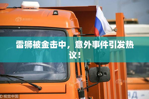 雷狮被金击中，意外事件引发热议！
