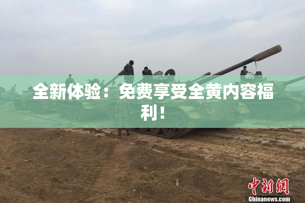 全新体验：免费享受全黄内容福利！