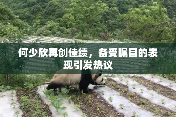 何少欣再创佳绩，备受瞩目的表现引发热议