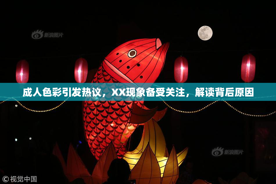 成人色彩引发热议，XX现象备受关注，解读背后原因