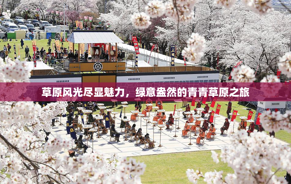 草原风光尽显魅力，绿意盎然的青青草原之旅
