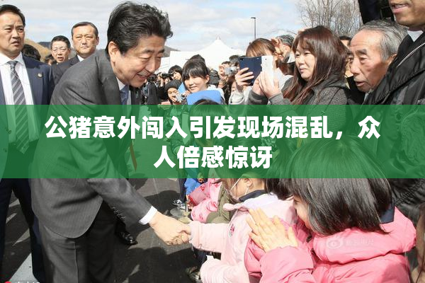 公猪意外闯入引发现场混乱，众人倍感惊讶