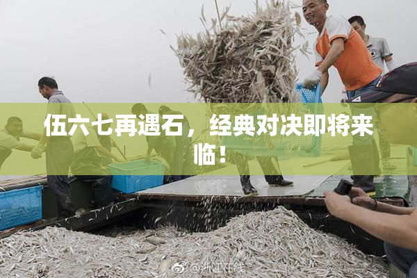 伍六七再遇石，经典对决即将来临！