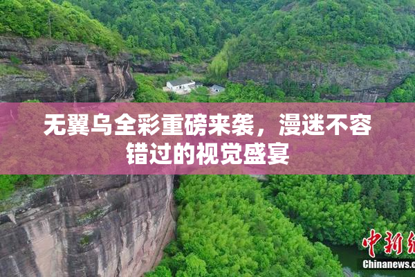 无翼乌全彩重磅来袭，漫迷不容错过的视觉盛宴