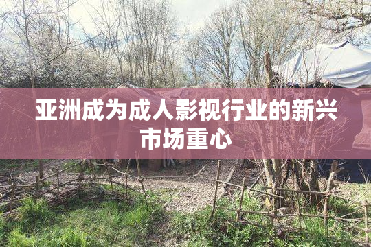 亚洲成为成人影视行业的新兴市场重心