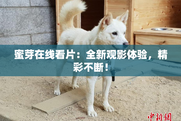 蜜芽在线看片：全新观影体验，精彩不断！