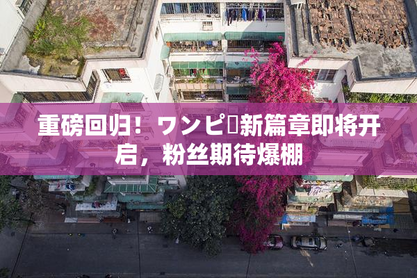 重磅回归！ワンピー新篇章即将开启，粉丝期待爆棚