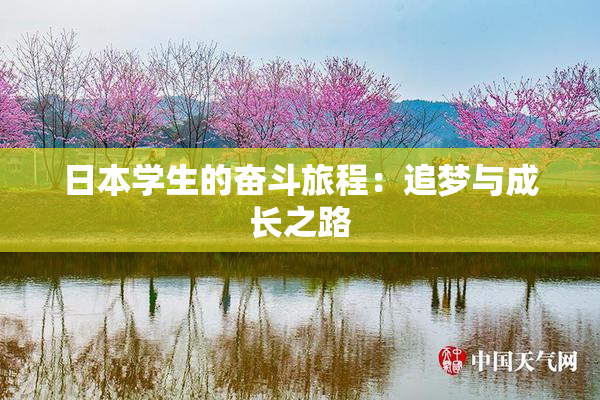 日本学生的奋斗旅程：追梦与成长之路