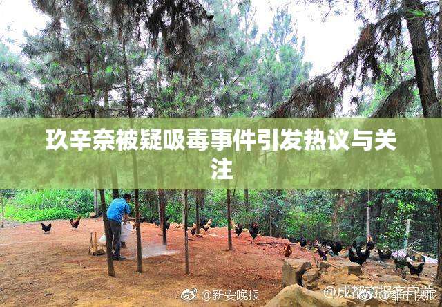 玖辛奈被疑吸毒事件引发热议与关注