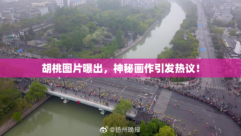 胡桃图片曝出，神秘画作引发热议！