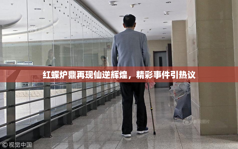 红蝶炉鼎再现仙逆辉煌，精彩事件引热议