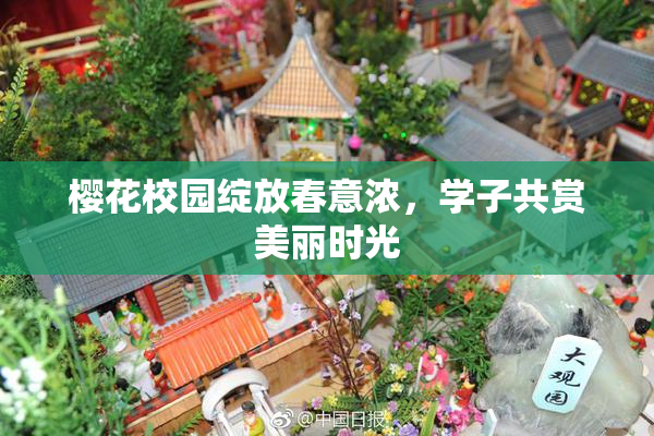 樱花校园绽放春意浓，学子共赏美丽时光