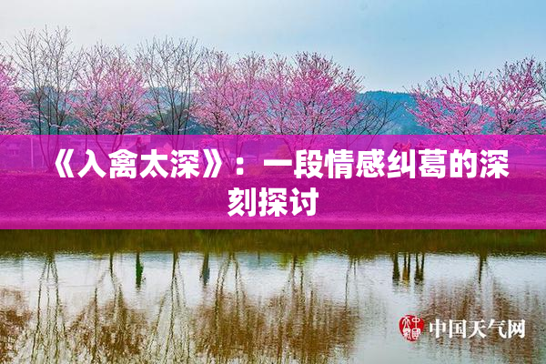 《入禽太深》：一段情感纠葛的深刻探讨