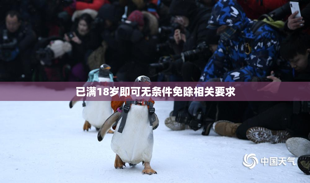 已满18岁即可无条件免除相关要求