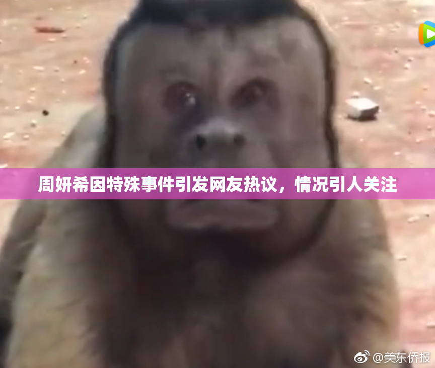 周妍希因特殊事件引发网友热议，情况引人关注
