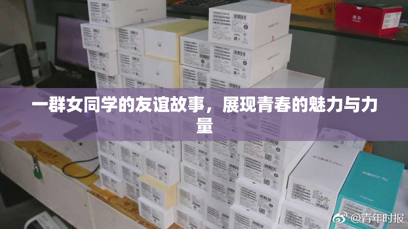 一群女同学的友谊故事，展现青春的魅力与力量