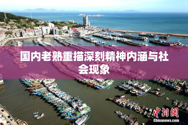 国内老熟重描深刻精神内涵与社会现象
