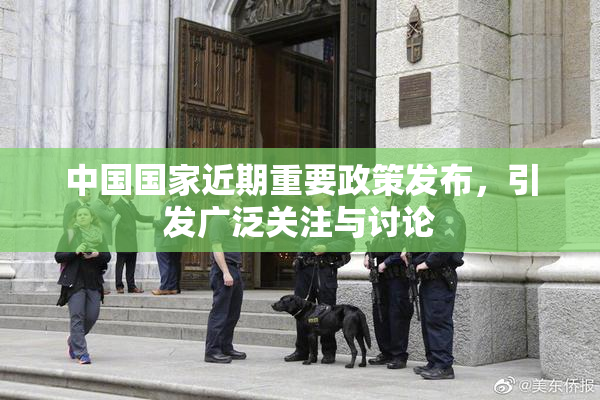 中国国家近期重要政策发布，引发广泛关注与讨论