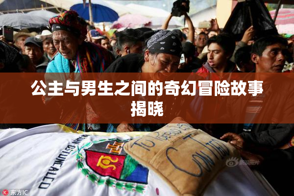 公主与男生之间的奇幻冒险故事揭晓