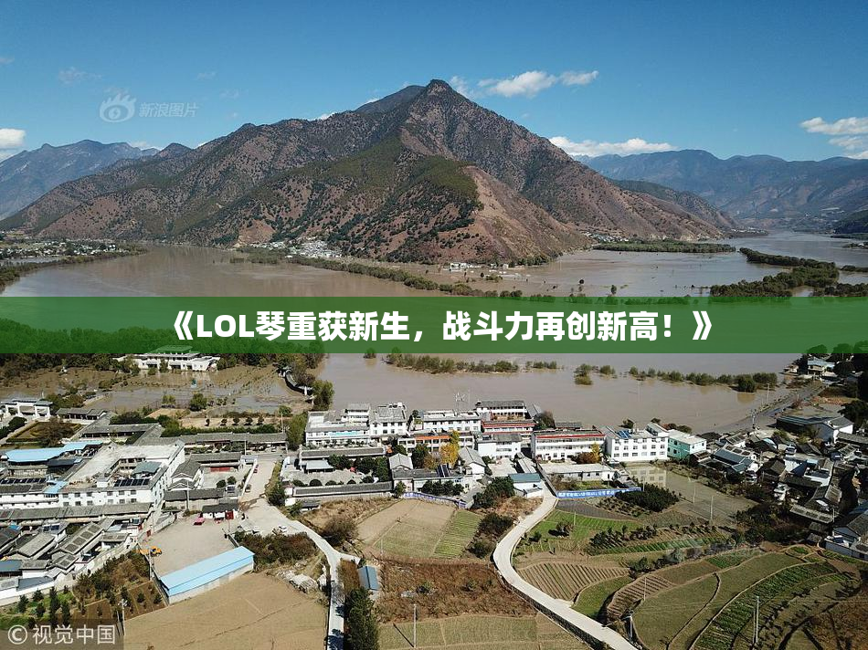 《LOL琴重获新生，战斗力再创新高！》
