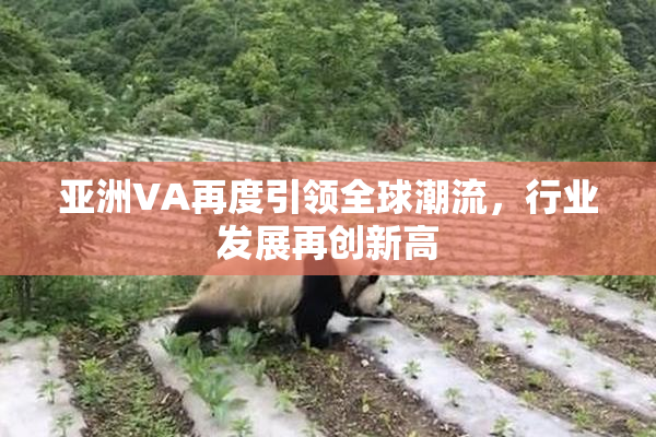 亚洲VA再度引领全球潮流，行业发展再创新高