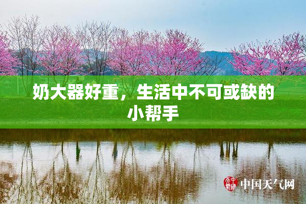 奶大器好重，生活中不可或缺的小帮手