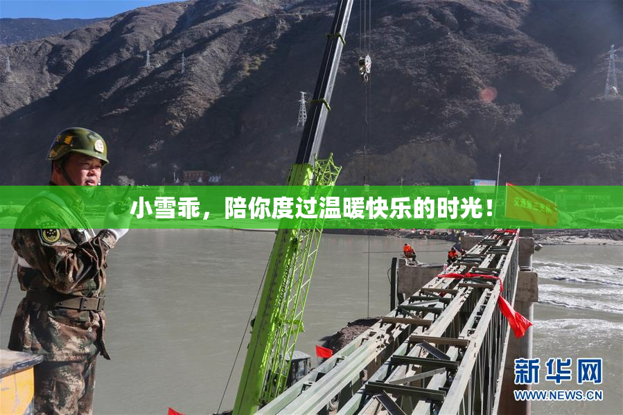 小雪乖，陪你度过温暖快乐的时光！