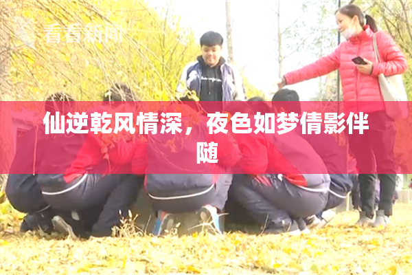 仙逆乾风情深，夜色如梦倩影伴随